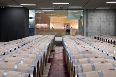Hotel-Bodega Finca de los Arandinos | Entrena, La Rioja