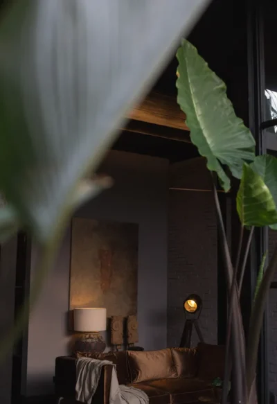 The Bohemian Bali